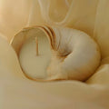 Jasmine & Rose Seashell Candle