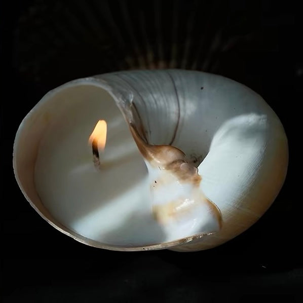 Jasmine & Rose Seashell Candle