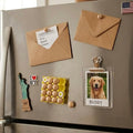 Mini Egg Carton Fridge Magnet Set